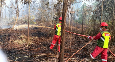 Di Balik Bencana Kabut Asap, Pasukan Pemadam PetroChina Tiap Hari Bantu Satgas Karhutla